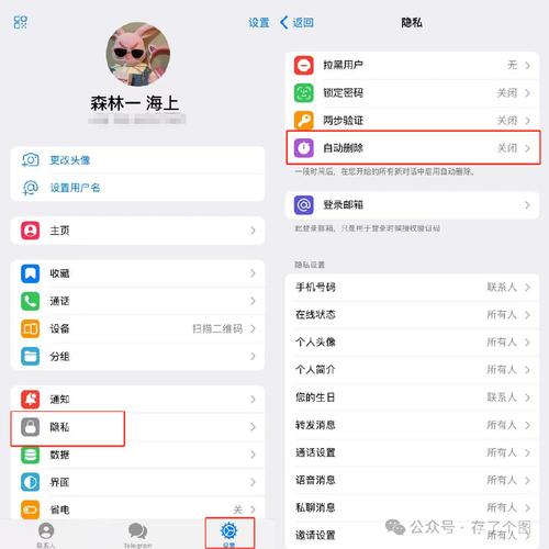 telegram怎么看自己id-telegram怎么看自己的账号