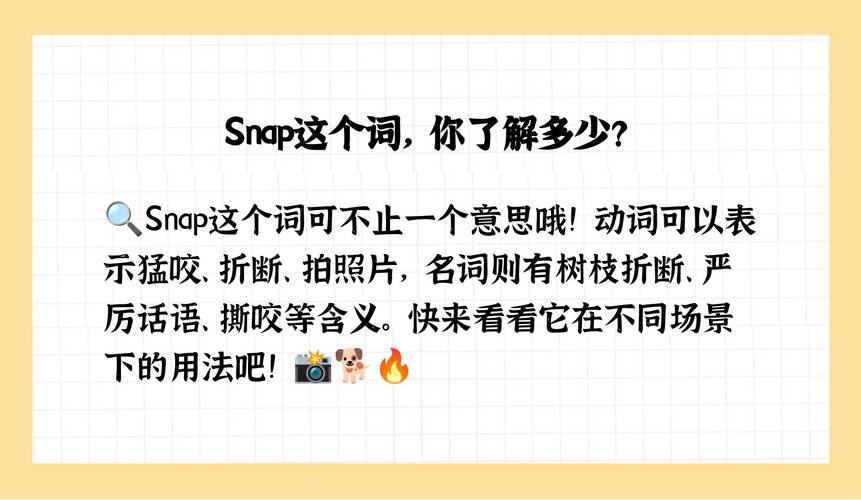 snap什么意思-snap什么意思中文