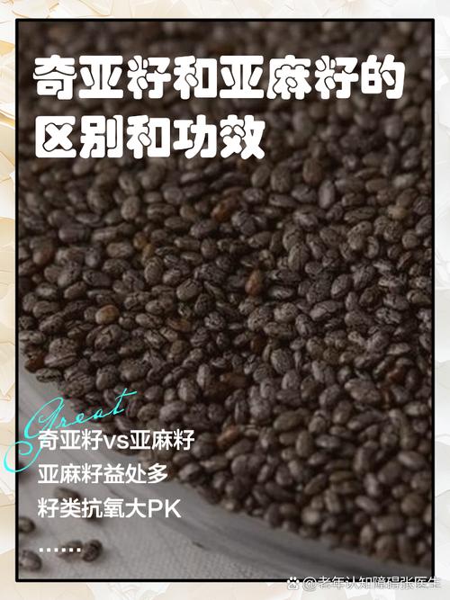 明珠果和奇亚籽的区别-为什么医生不建议吃奇亚籽