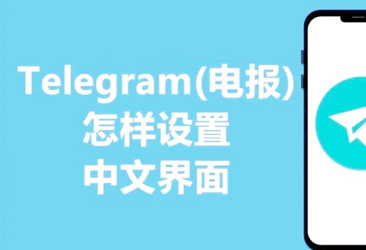纸飞机怎么下简体中文包-纸飞机软件怎么弄成中文版的