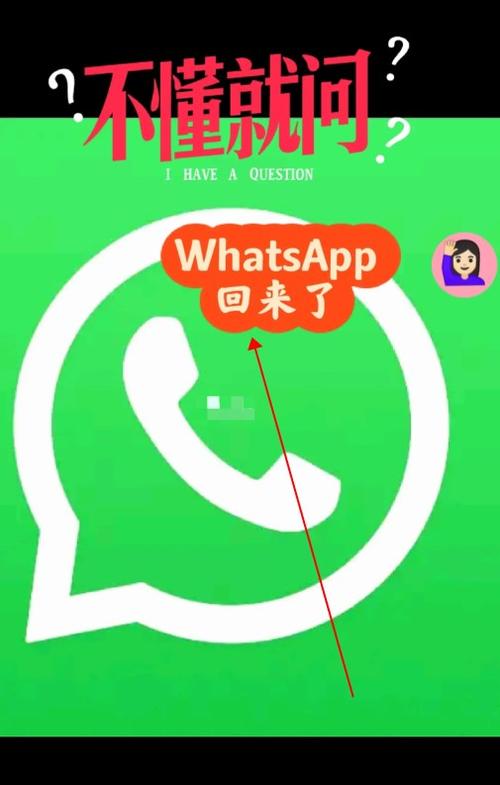 WhatsApp官网最新版-whatsapp官方最新版本下载