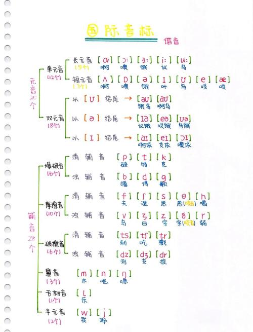 lineup音标-linearity音标