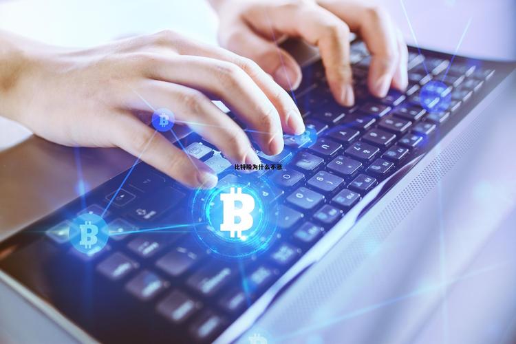 比特股交易软件怎么样-比特股怎么样适合入手吗