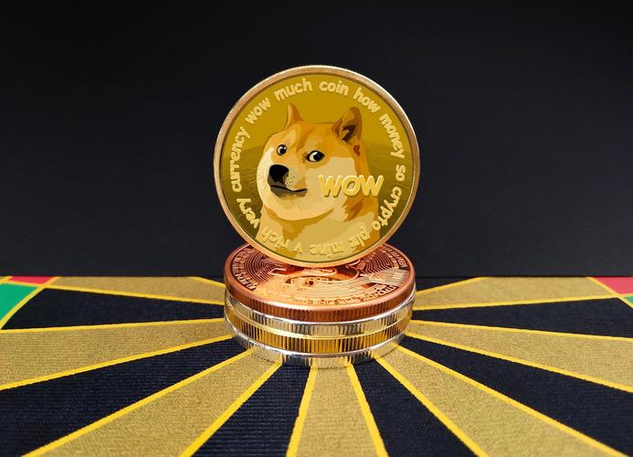 狗狗币多少钱一个-2015年狗狗币多少钱一个