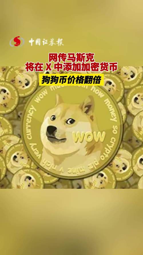 马斯克谈狗狗币-马斯克访谈狗狗币