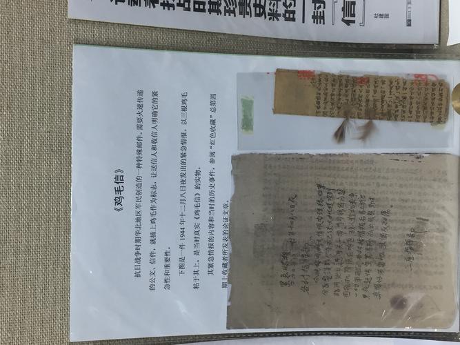 打电报-打电报买车票急上加急代表什么生肖