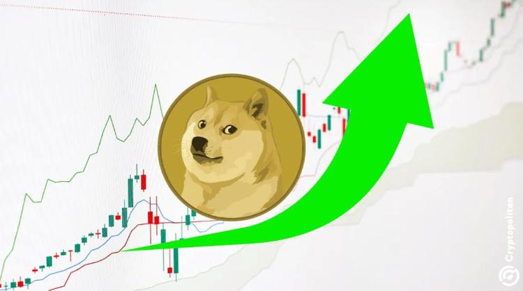 狗狗币今日行情价格柴犬-狗狗币和柴犬币哪个有前景