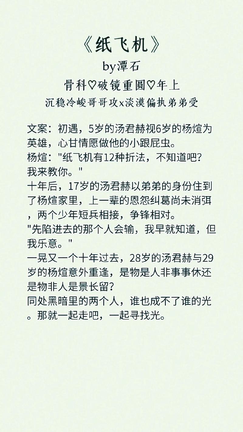 纸飞机by潭石-纸飞机by潭石多少字