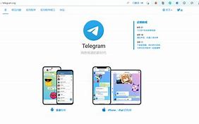 telegeram.cn-telegeramcn中文版下载