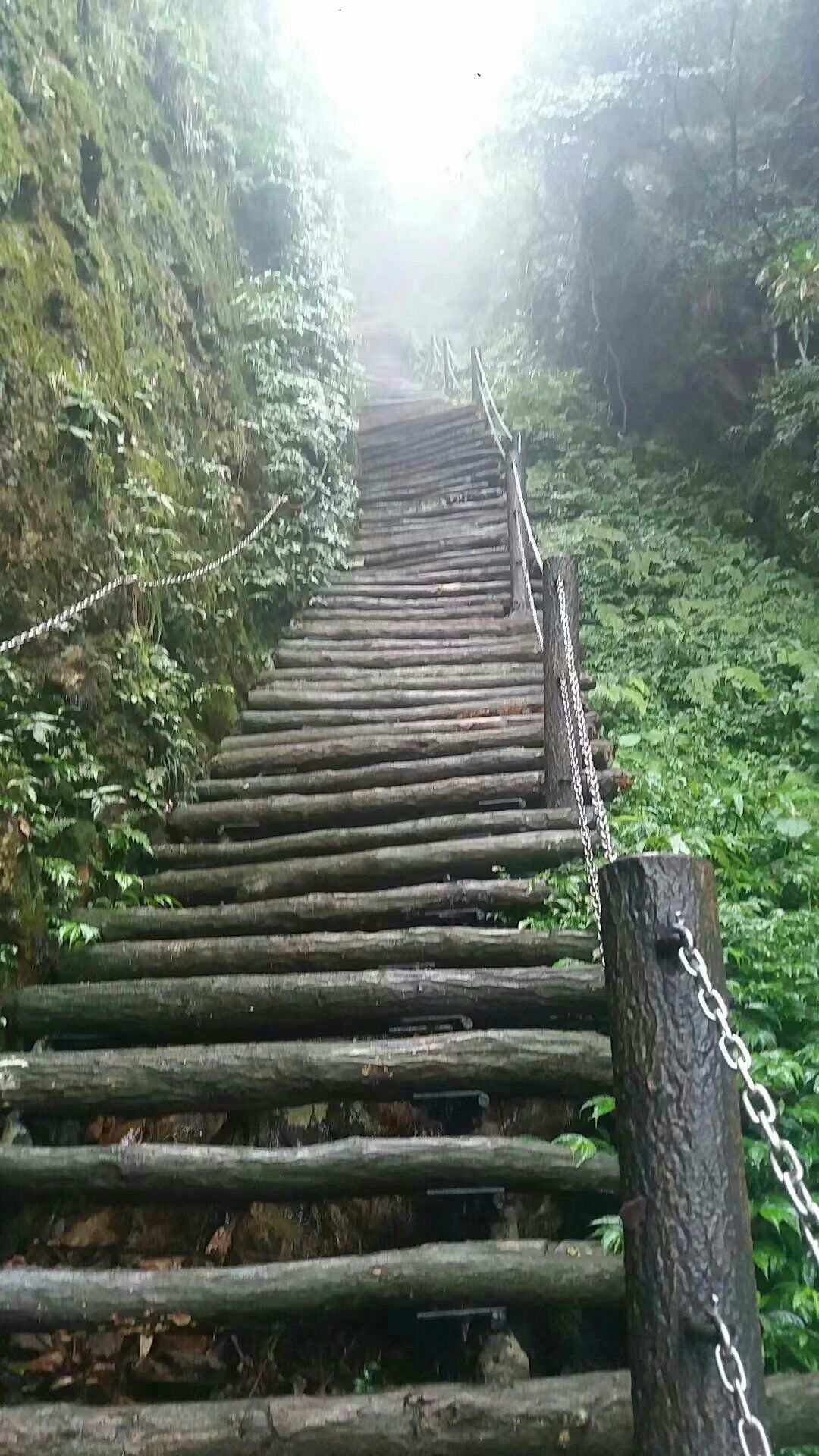 上望的梯子是什么样子的图片-上望的梯子是什么样子的图片和视频