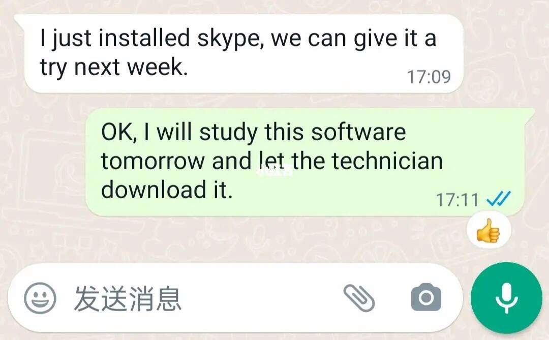 skype的英语-skype英文怎么读