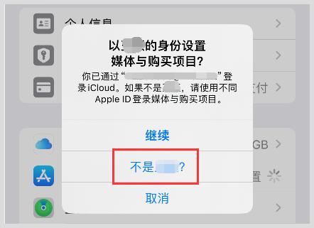 iphone下载了skype登陆不上怎么办-skype苹果版下载不了只能下载business