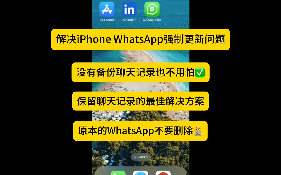 whatsapp2020版下载安卓-whatsapp2021安卓下载安装