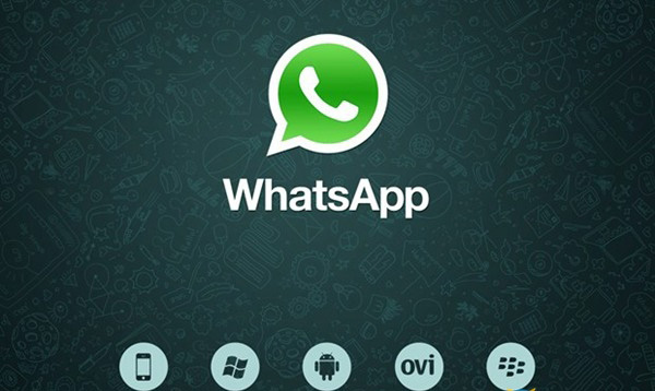 whatsup聊天软件安卓版-whatsapp2024最新版官网