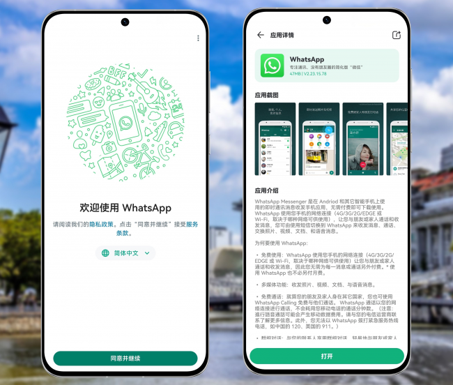 whatsapp下载安装-whatsapp下载安装安卓手机版