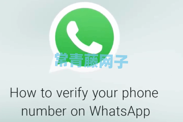 whatsapp官网免费下载最新版-whatsapp官网下载安装最新版本