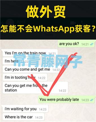 whatsapp怎么加好友有手机号-whatsapp怎么加好友 有手机号