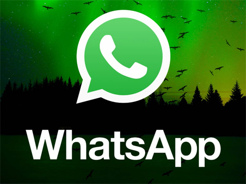 whatsapp用英语怎么读-whatsapp英语怎么读音发音