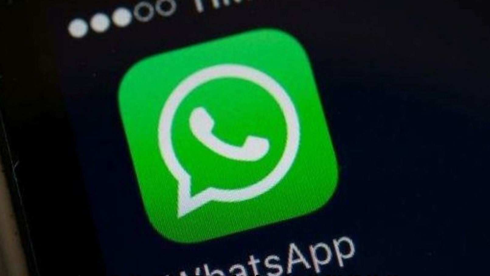 whatsapp下载2024-whatsapp下载2024最新版本