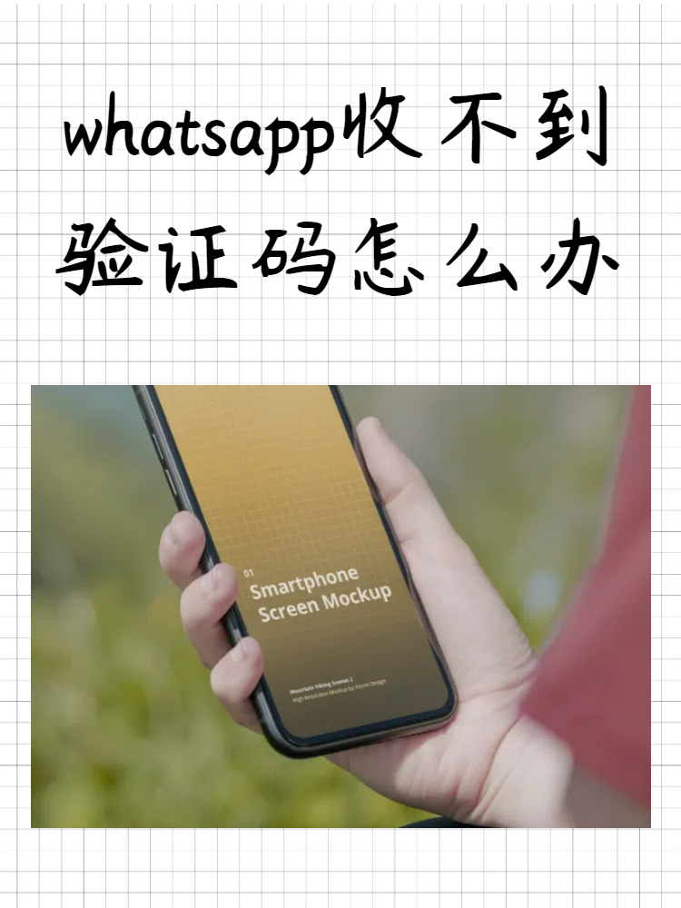 whatsapp无法收到验证短信-whatsapp收不到登录验证短信