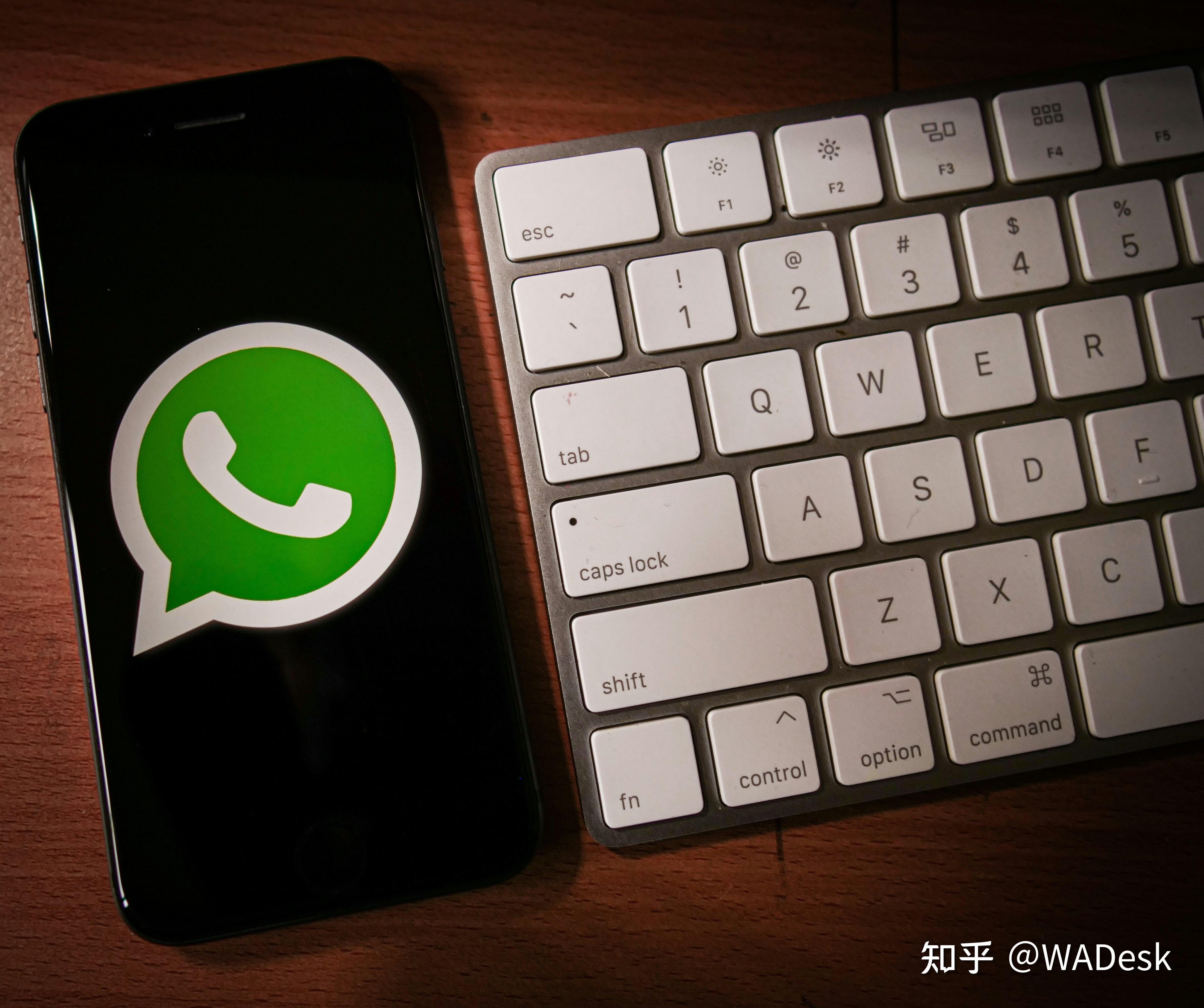 关于印尼聊天软件WHATSAPP下载的信息