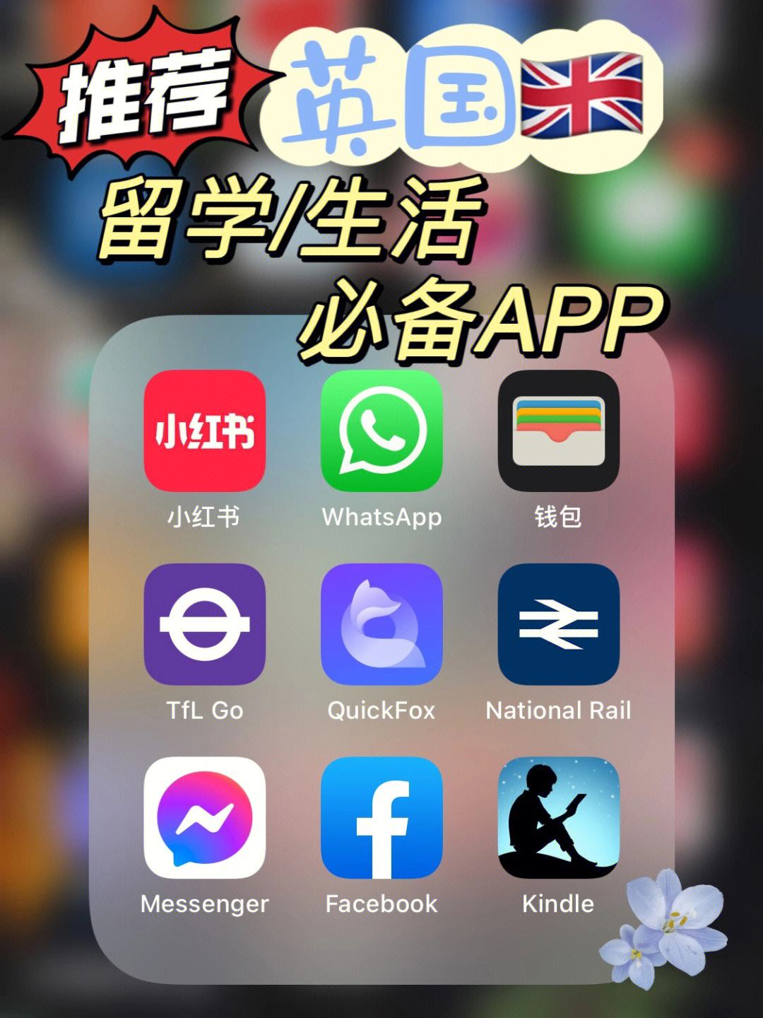 国际聊天软件app-国际聊天软件app排行榜