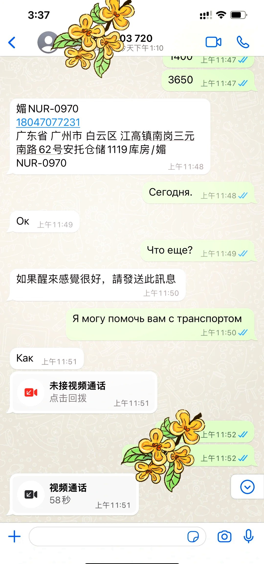 whatsapp收不到短信验证码-whatsapp为什么收不到验证码