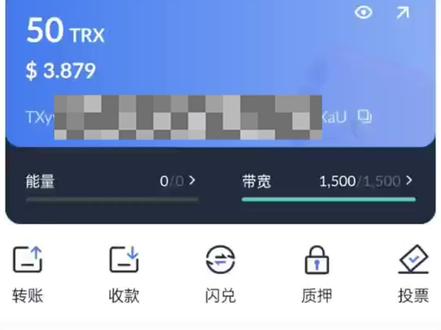 比特派钱包trx能量怎么弄-比特派usdt兑换trx视频