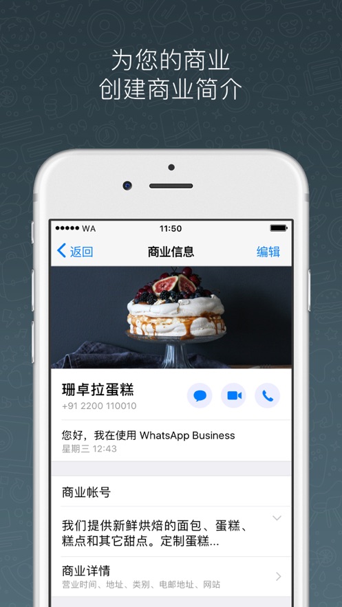 whatsapp最新版官方网下载-whatsapp最新版官方网下载安装