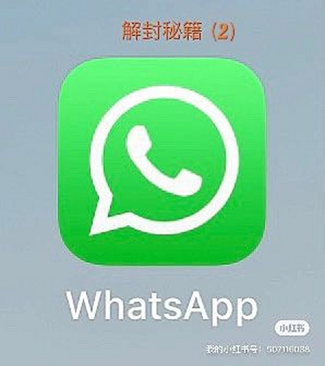 whatsapp国内能下载吗-whatsapp可以在国内用吗