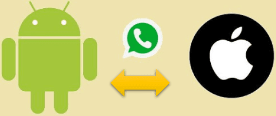 whatsapp最新版本安装-whatsapp2021版本下载