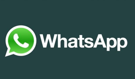 whatsapp添加好友步骤-whatsapp上怎么添加好友