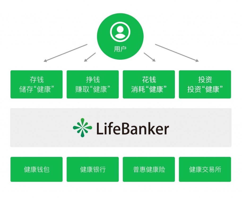 包含token钱包使用教程视频的词条