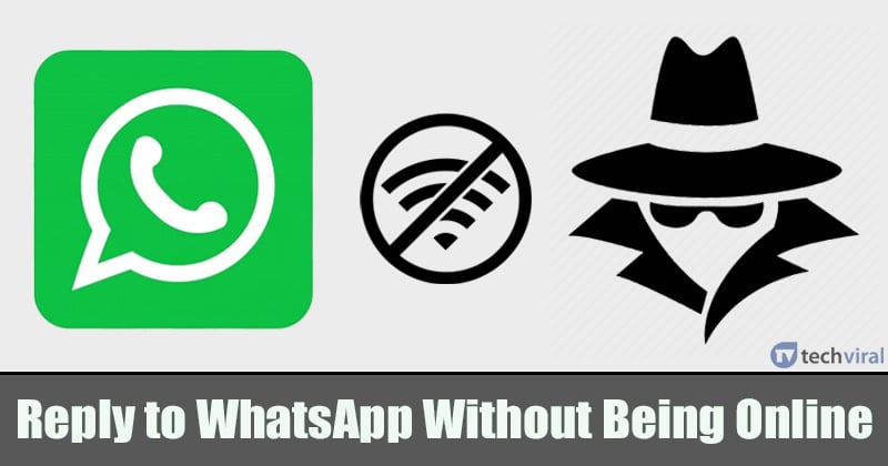 whatsapp安卓下载安装-WhatsApp安卓下载安装最新版