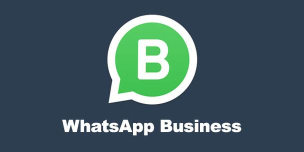 whatsapp最新安卓下载-whatsapp安卓下载 官方