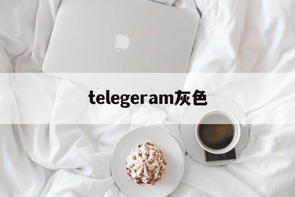 telegeram灰色-telegeram灰色版本2024